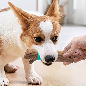 Cachorro mastigar brinquedo - Cachorro mordendo brinquedo para  estimação,Brinquedos dentição reutilizáveis para cachorros para  mastigadores ...