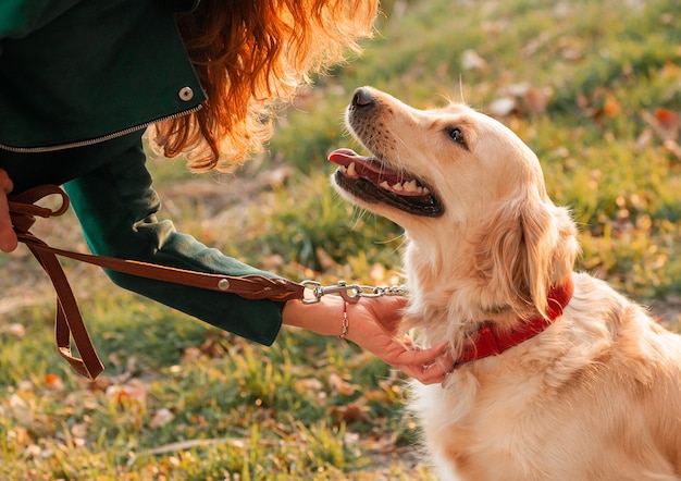 Cachorro feliz e seu dono no parque em um dia ensolarado | Foto Premium