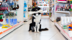 Produtos Essenciais Que Todo Pet Shop Deve Ter