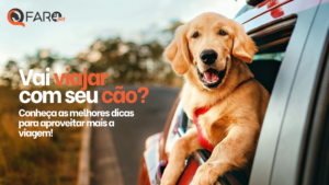 Dicas para viajar com seu cão e aproveitar mais a viagem