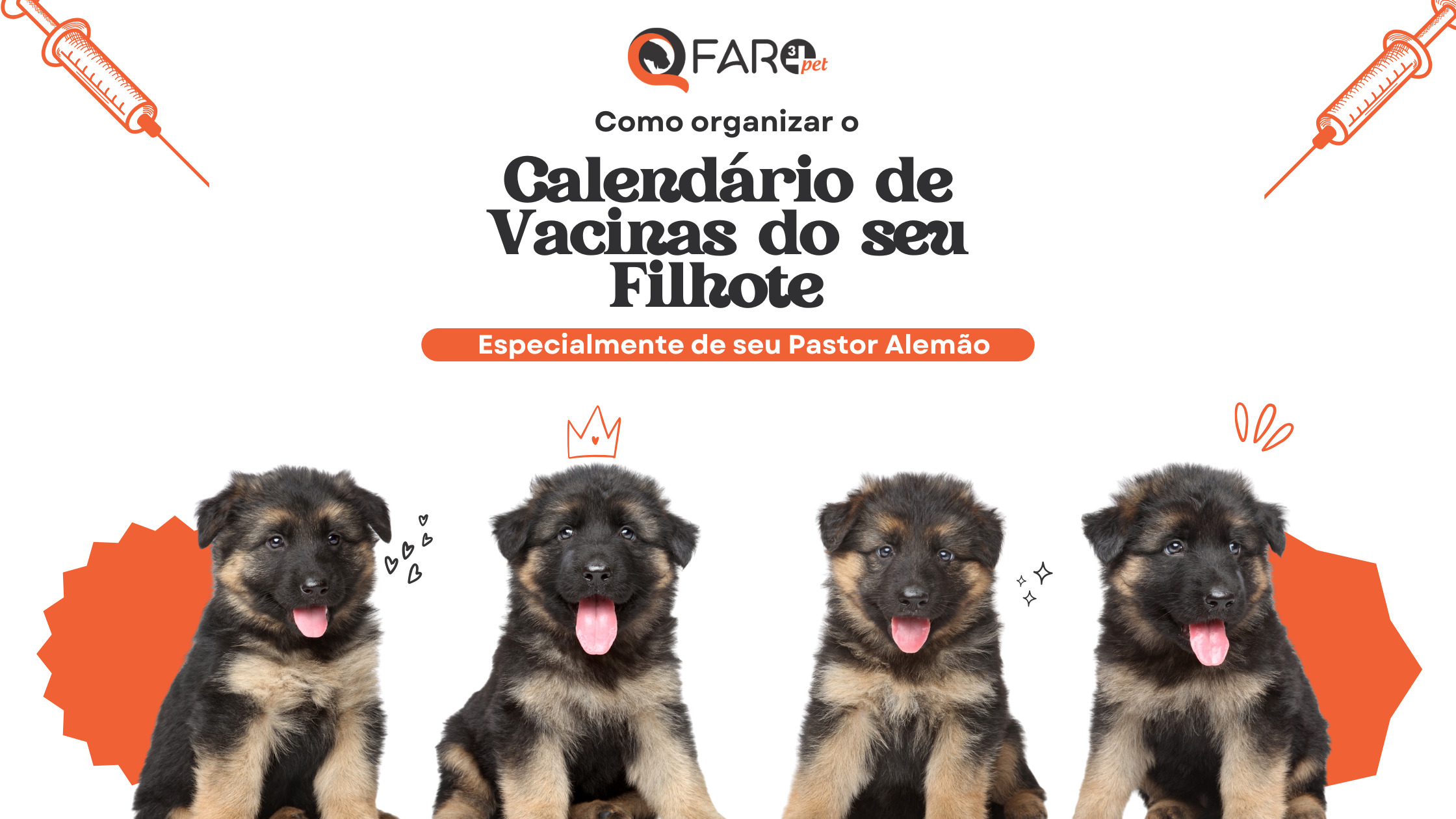 Calendário de Vacinas em |Filhotes de Pastor Alemão